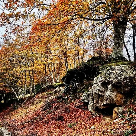 酒店 Nebris - Rifugio Del Parco 3*