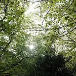 Nebris - Rifugio Del Parco Ξενοδοχείο