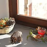 Nebris - Rifugio Del Parco 3*